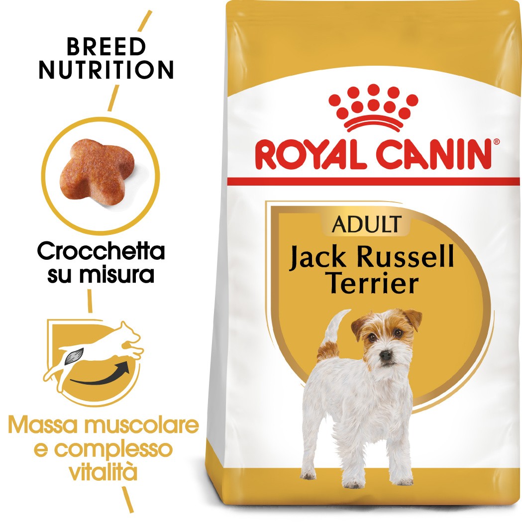 Royal canin jack russel terrier discount