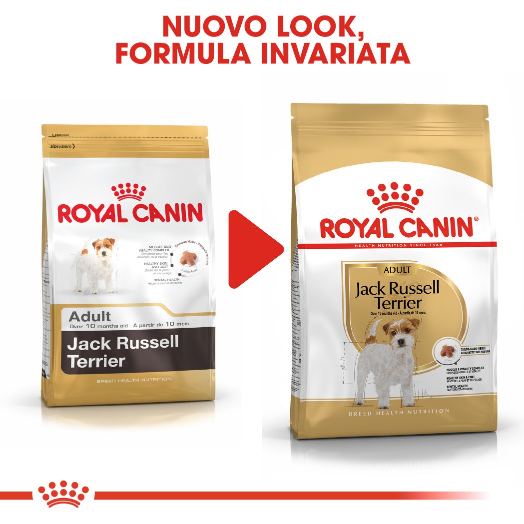 Royal Canin Adult Jack Russell Terrier cibo per cane