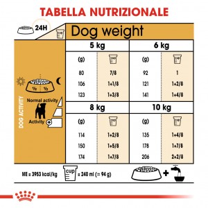 Royal Canin Adult Jack Russell Terrier cibo per cane