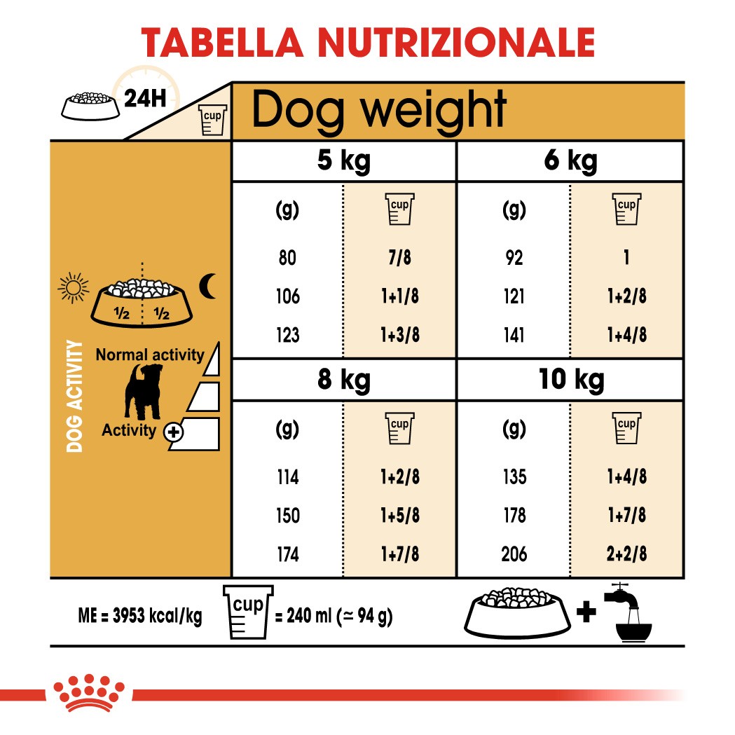Royal Canin Adult Jack Russell Terrier cibo per cane
