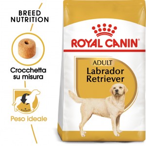 Royal Canin Adult Labrador Retriever cibo per cane