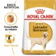 Royal Canin Adult Labrador Retriever cibo per cane