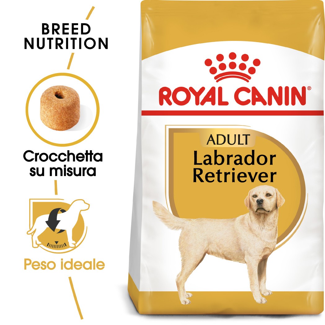 Royal Canin Adult Labrador Retriever cibo per cane