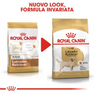 Royal Canin Adult Labrador Retriever cibo per cane