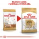 Royal Canin Adult Labrador Retriever cibo per cane