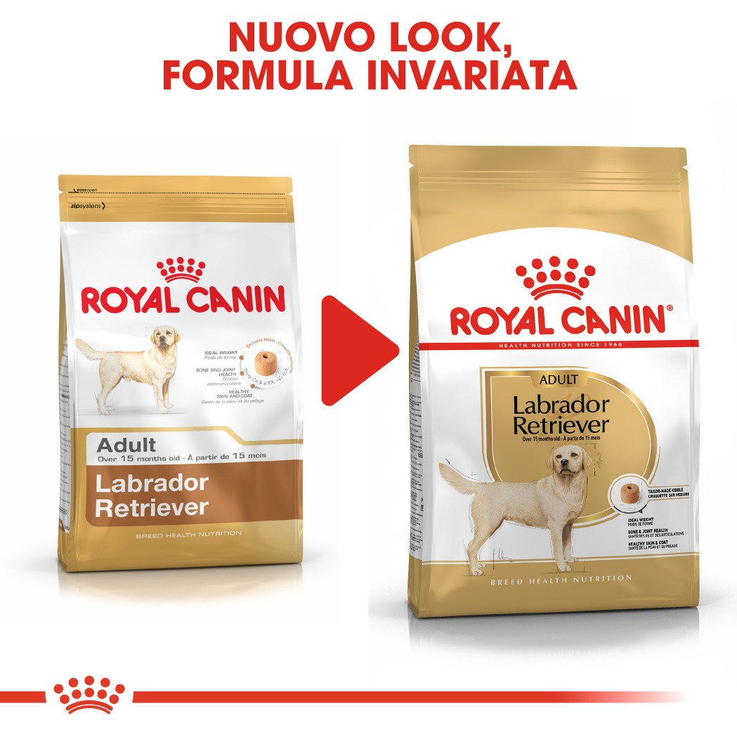 Royal Canin Adult Labrador Retriever cibo per cane