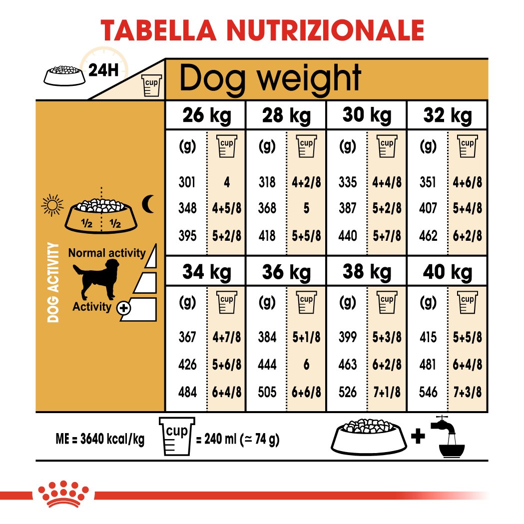 Royal Canin Adult Labrador Retriever cibo per cane