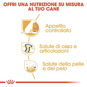 Royal Canin Sterilizzato Adult Labrador Retriever cibo per cane