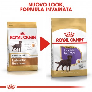 Royal Canin Sterilizzato Adult Labrador Retriever cibo per cane
