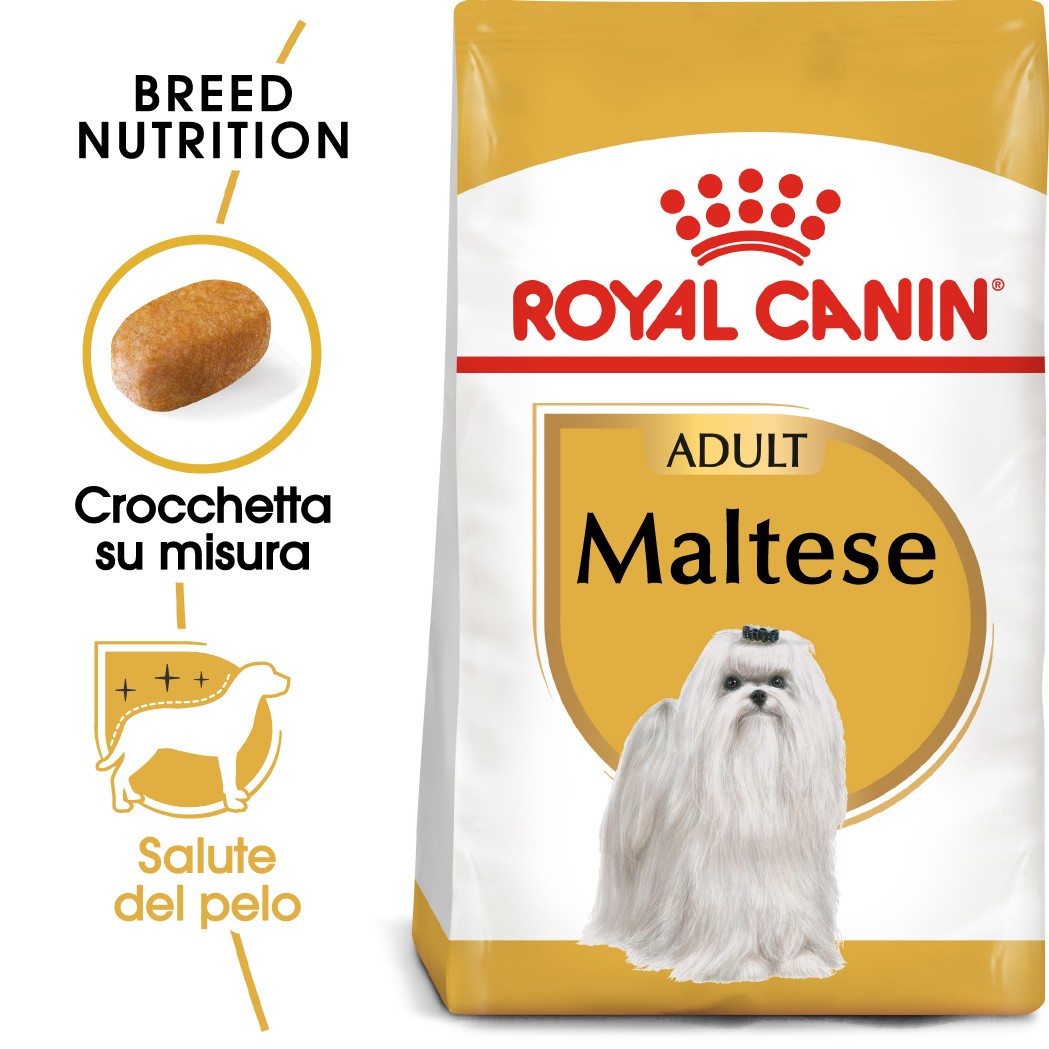 Royal Canin Adult Maltese cibo per cane