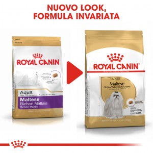 Royal Canin Adult Maltese cibo per cane