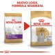 Royal Canin Adult Maltese cibo per cane