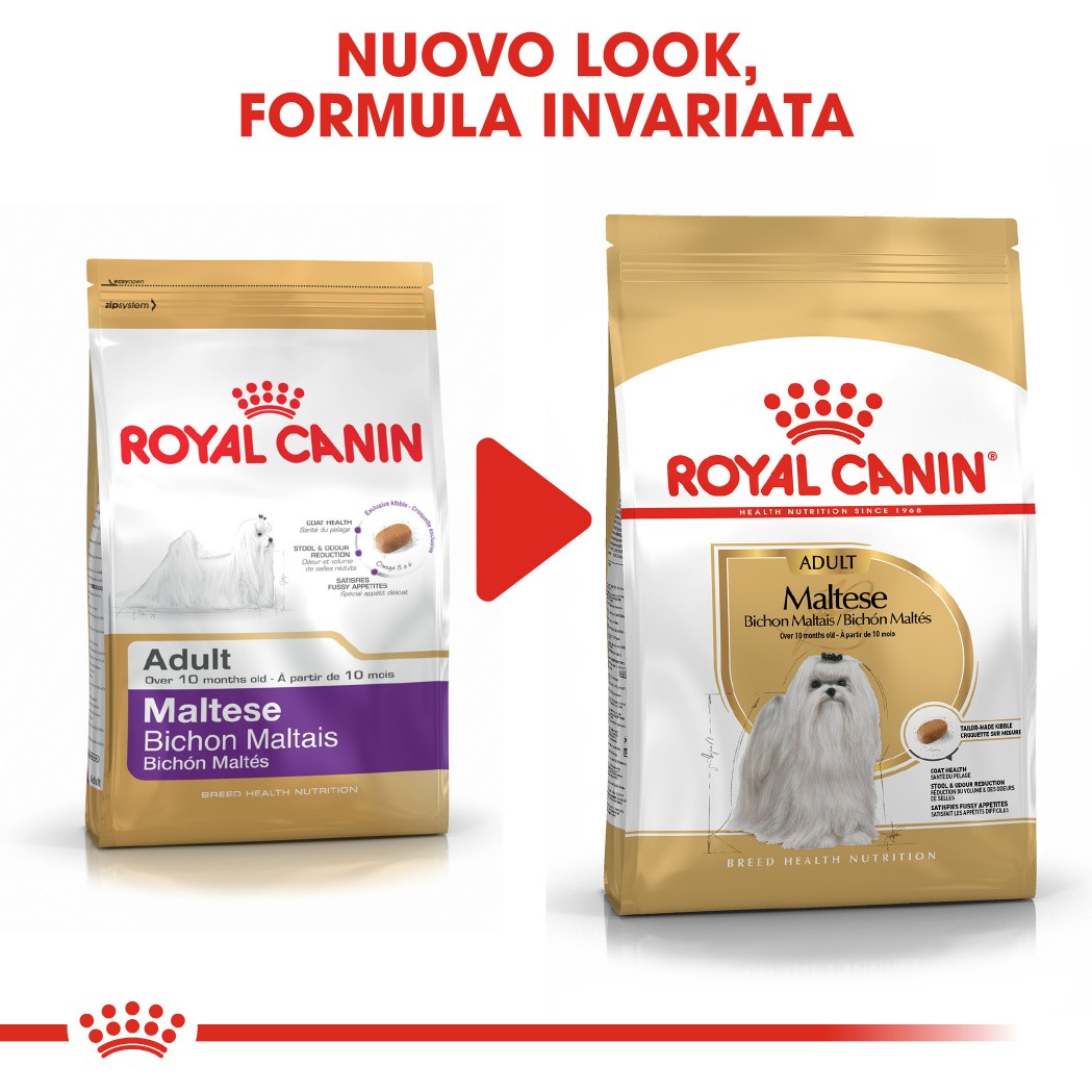 Royal Canin Adult Maltese cibo per cane