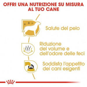 Royal Canin Adult Maltese cibo per cane