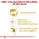 Royal Canin Adult Maltese cibo per cane