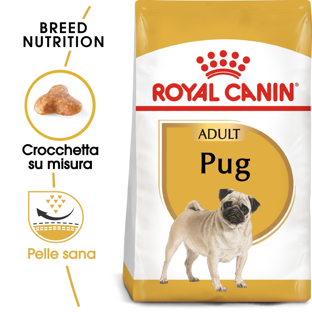Royal Canin Adult Carlino cibo per cane