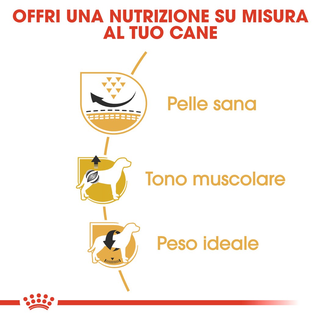 Royal Canin Adult Carlino cibo per cane