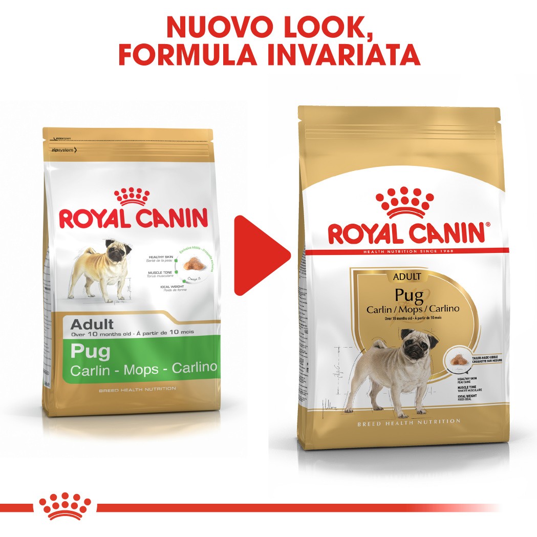Royal Canin Adult Carlino cibo per cane