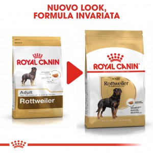 Royal Canin Adult Rottweiler cibo per cane