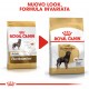 Royal Canin Adult Rottweiler cibo per cane