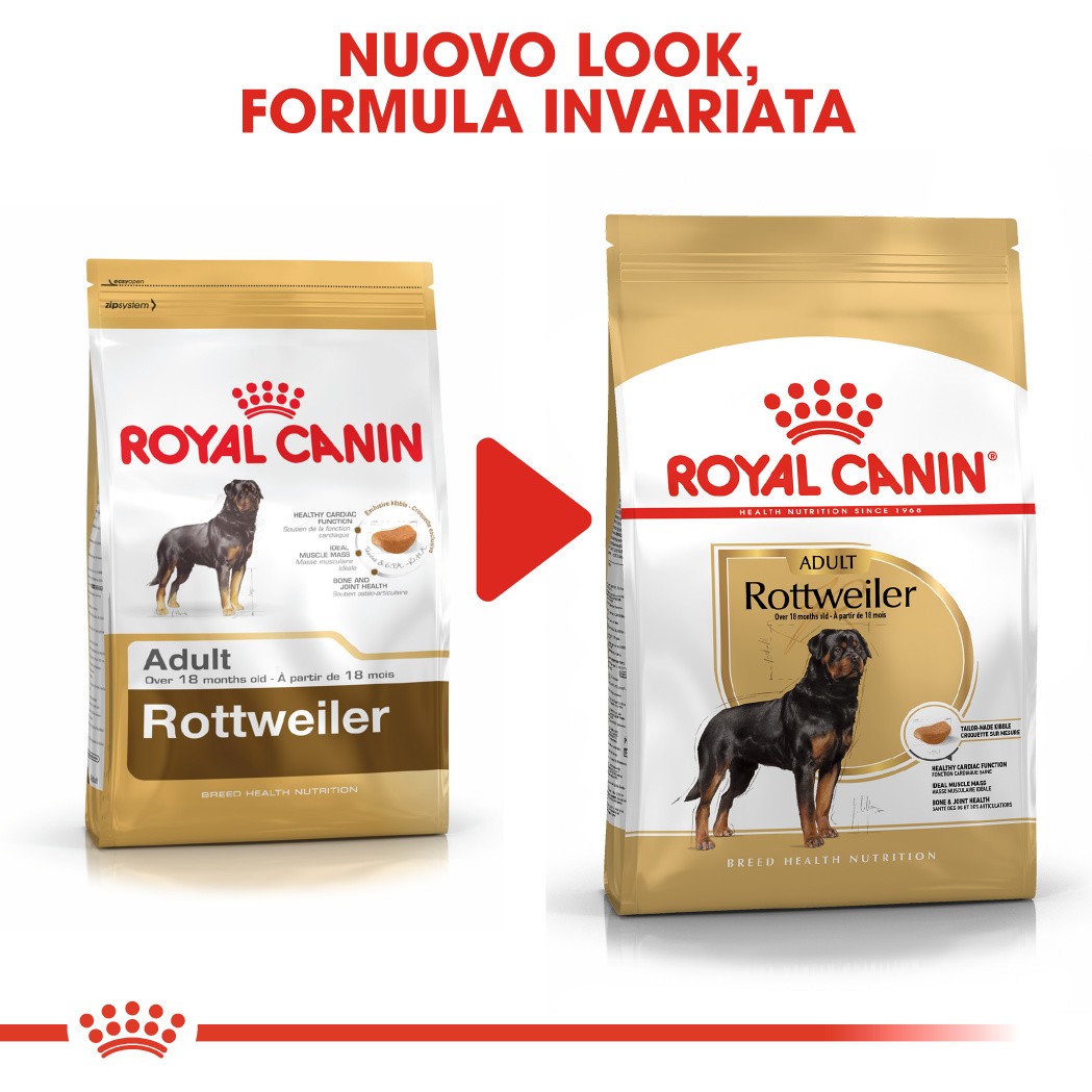 Royal Canin Adult Rottweiler cibo per cane