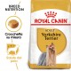 Royal Canin Adult Yorkshire Terrier cibo per cane