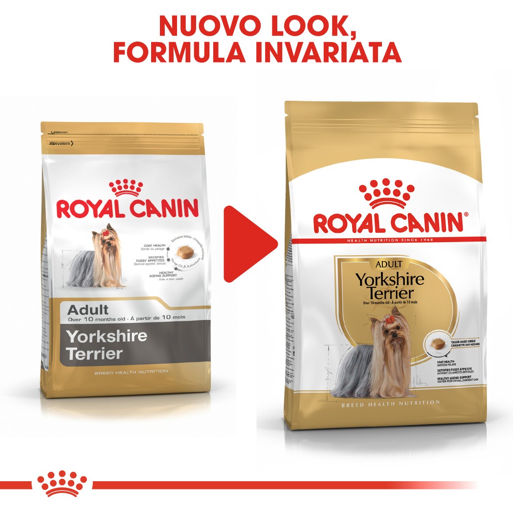 Royal Canin Adult Yorkshire Terrier cibo per cane