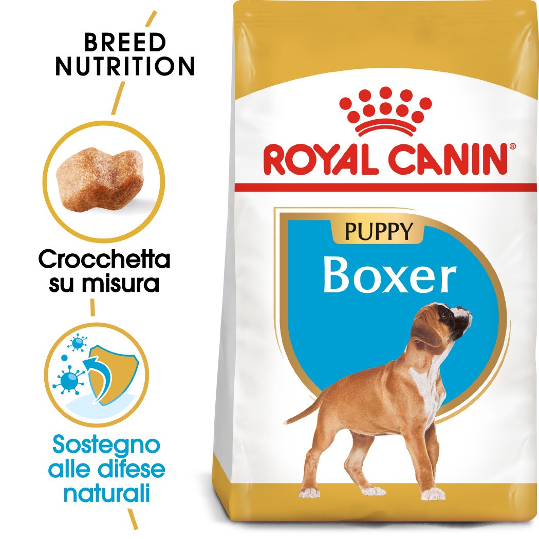 Royal Canin Puppy Boxer cibo per cane