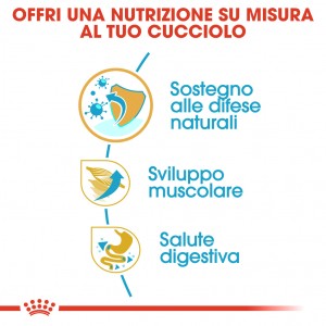 Royal Canin Puppy Boxer cibo per cane