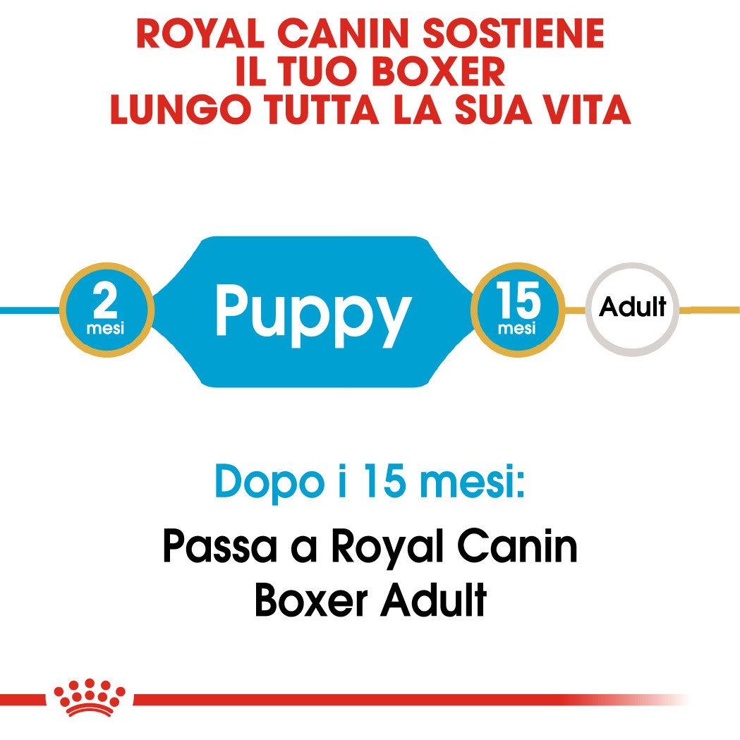 Royal Canin Puppy Boxer cibo per cane