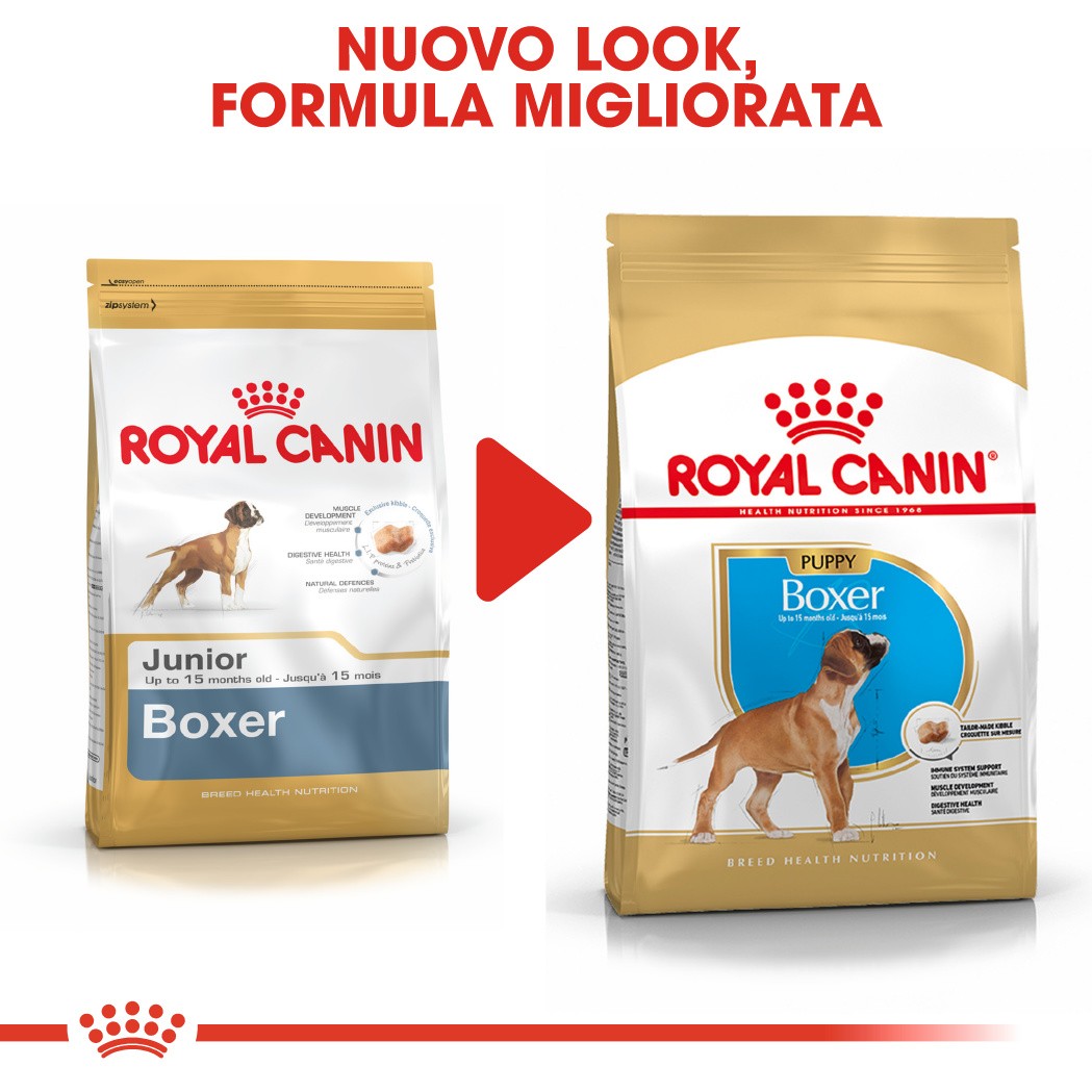 Royal Canin Puppy Boxer cibo per cane