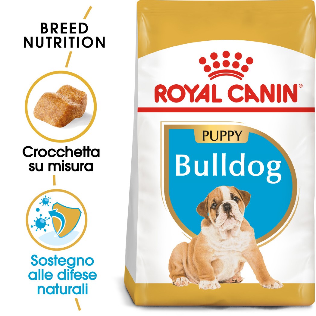 Royal Canin Puppy Bulldog cibo per cane