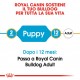 Royal Canin Puppy Bulldog cibo per cane