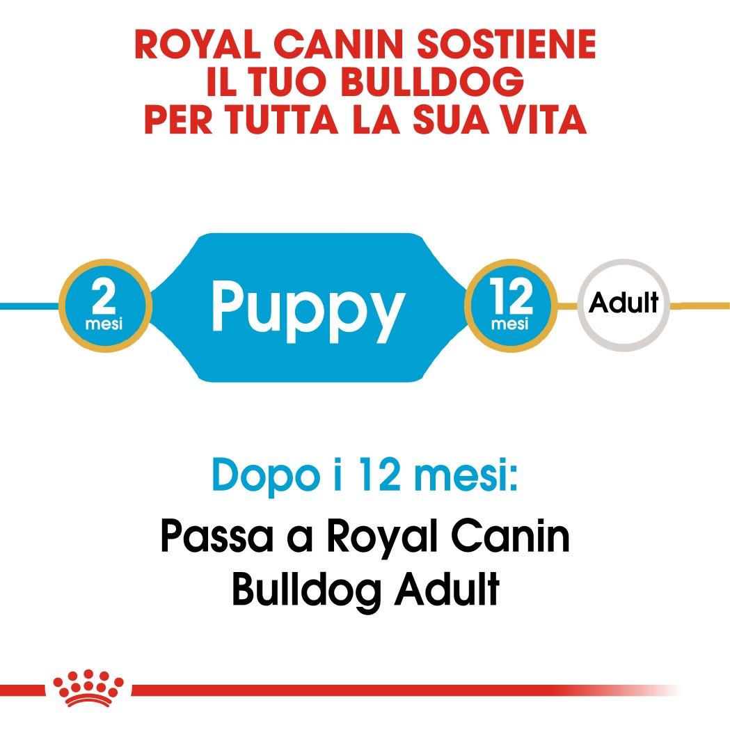 Royal Canin Puppy Bulldog cibo per cane