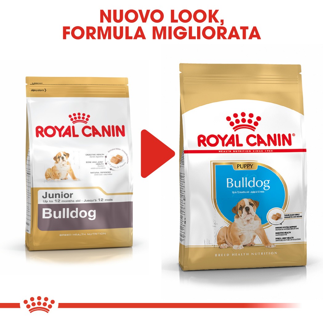 Royal Canin Puppy Bulldog cibo per cane