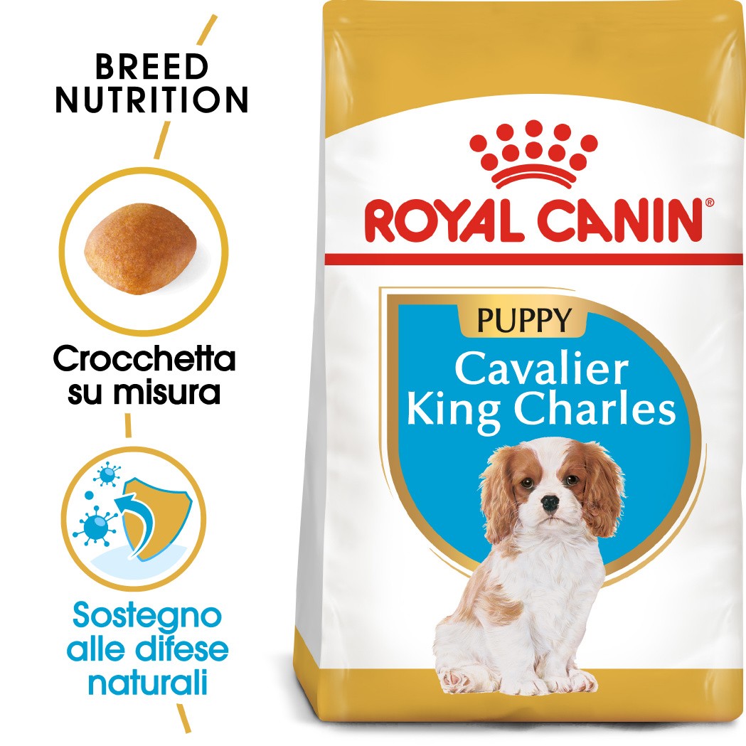 Royal Canin Puppy Cavalier King Charles cibo per cane