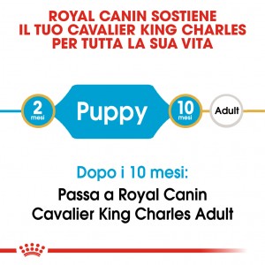 Royal Canin Puppy Cavalier King Charles cibo per cane