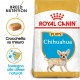 Royal Canin Puppy Chihuahua cibo per cane