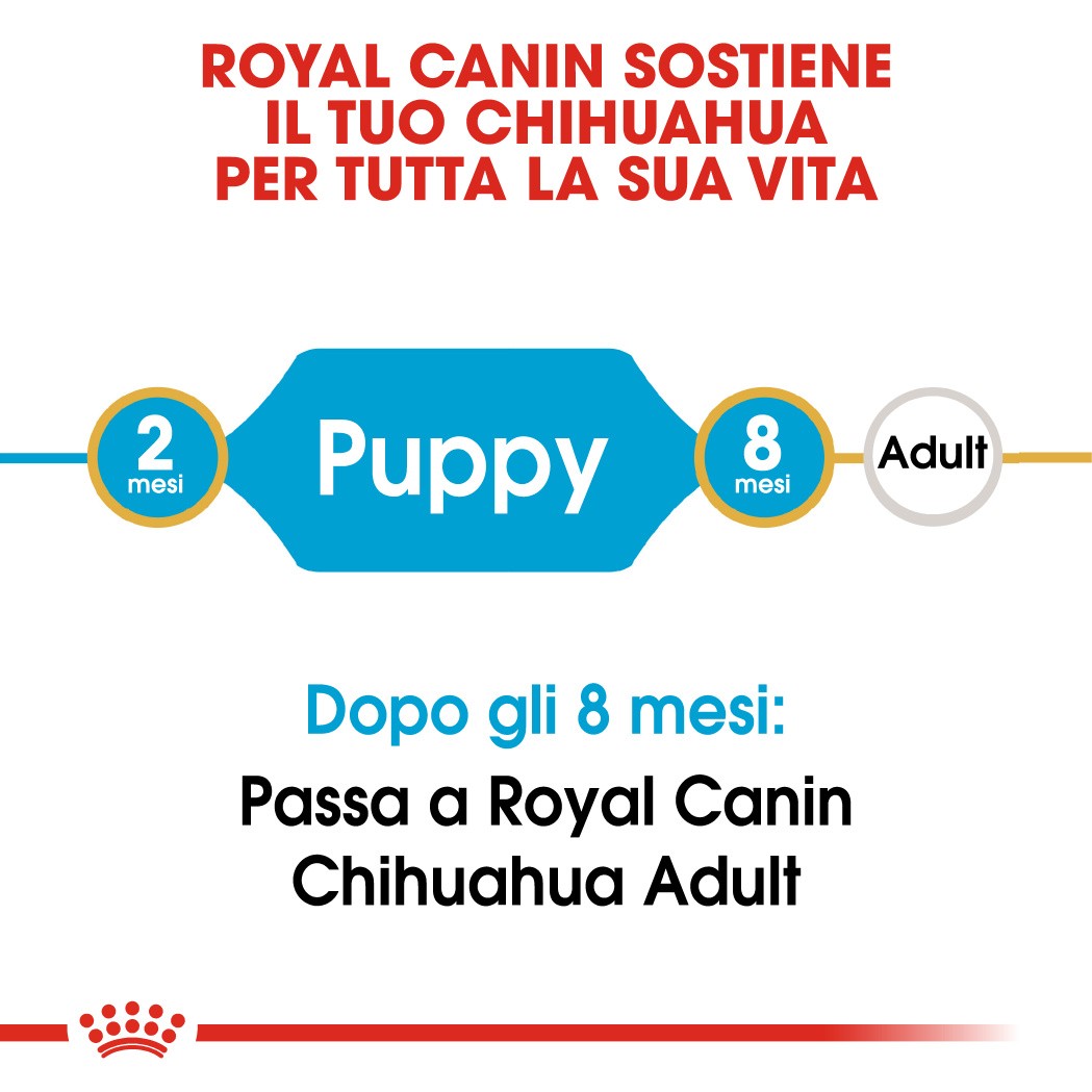 Royal Canin Puppy Chihuahua cibo per cane
