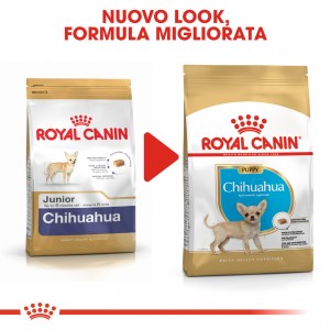 Royal Canin Puppy Chihuahua cibo per cane