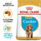 Royal Canin Puppy Cocker Spaniel cibo per cane