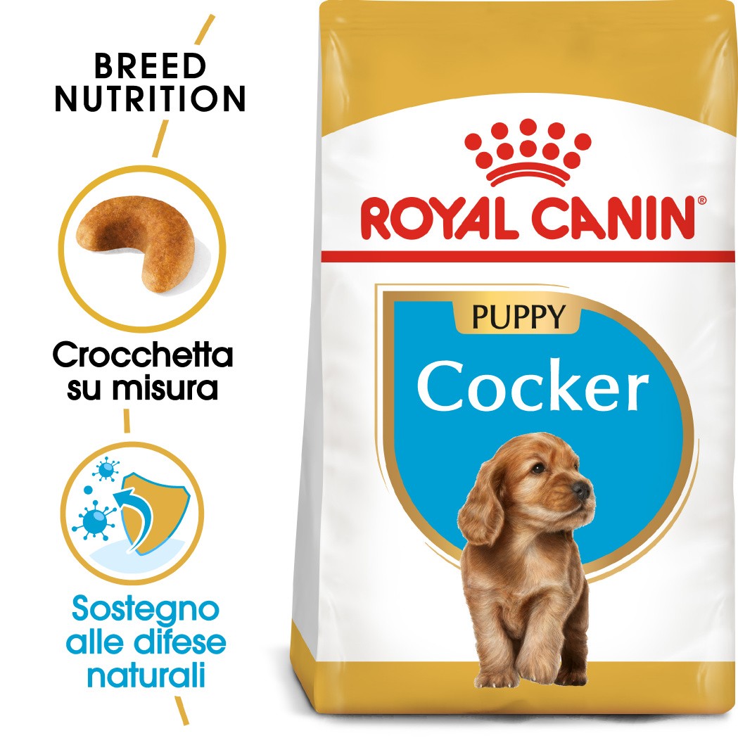 Royal Canin Puppy Cocker Spaniel cibo per cane