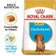 Royal Canin Puppy Bassotto cibo per cane