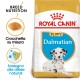 Royal Canin Puppy Dalmata cibo per cane