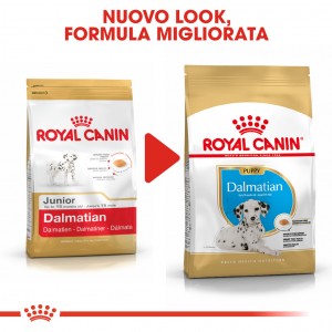 Royal Canin Puppy Dalmata cibo per cane
