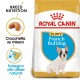 Royal Canin Puppy Bulldog Francese cibo per cane