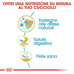 Royal Canin Puppy Bulldog Francese cibo per cane