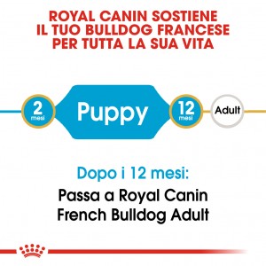Royal Canin Puppy Bulldog Francese cibo per cane