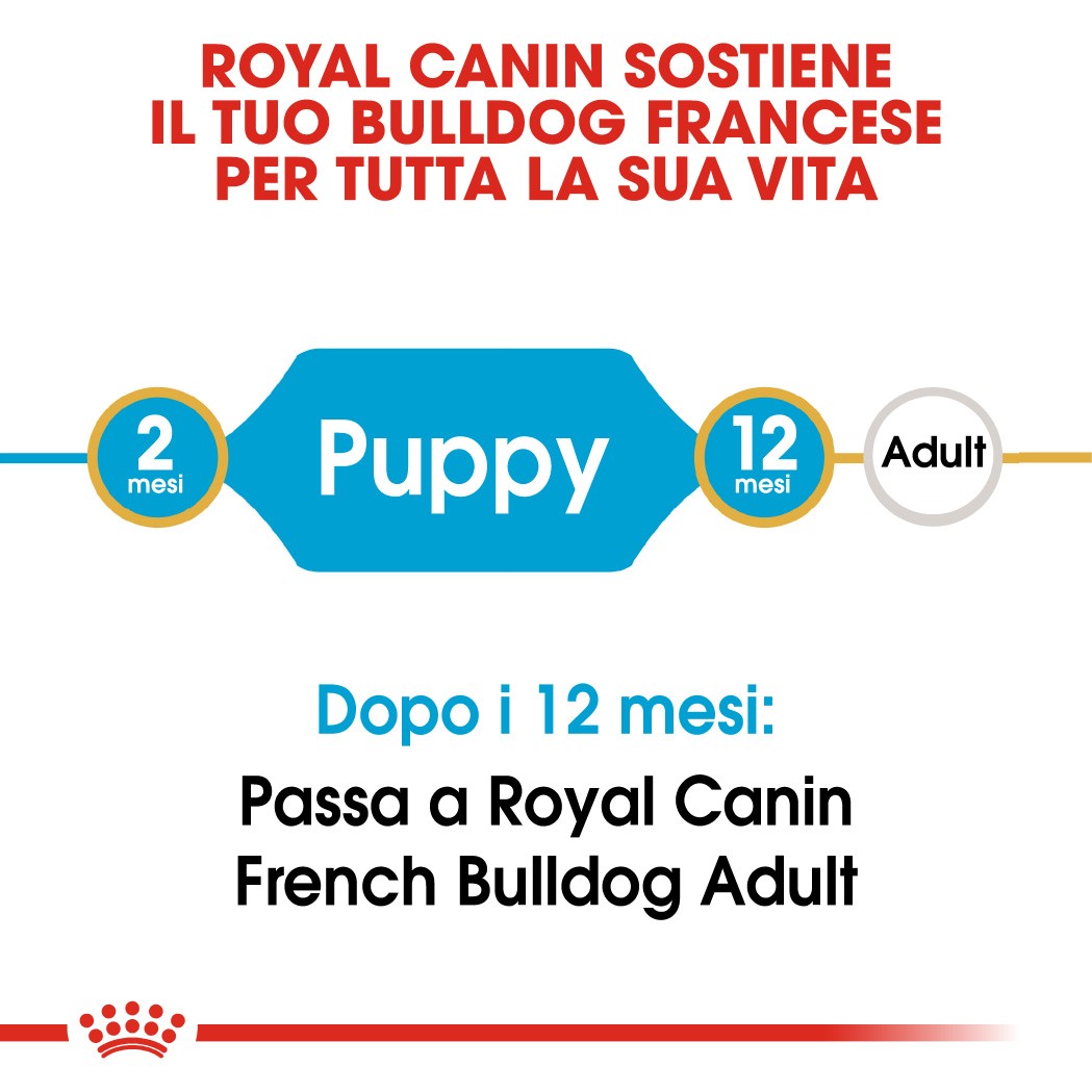 Royal Canin Puppy Bulldog Francese cibo per cane