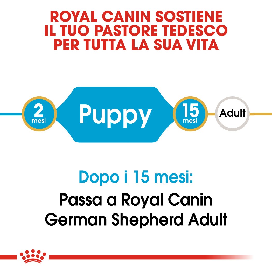 Royal Canin Puppy Pastore Tedesco cibo per cane